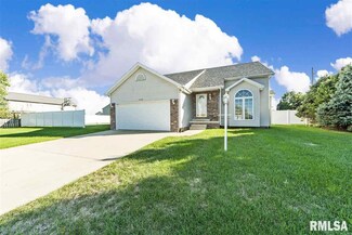 1440 Johanna Dr, Metamora, IL 61548