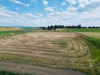 136 Seubert Heights Dr, Cottonwood, ID 83522