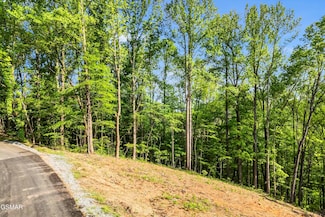 Lot 27 Sugar Maple Loop Rd, Sevierville, TN 37862