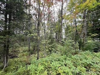 TBD W Brule Lake Rd, Iron River, MI 49935