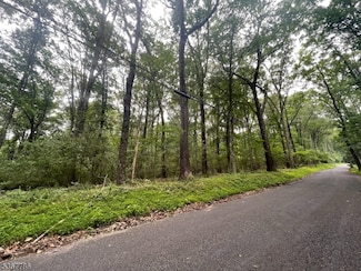 19 S Polktown Rd, Hampton, NJ 08827