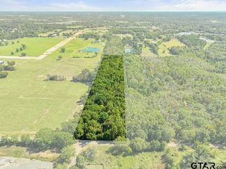 16329 County Road 1100, Flint, TX 75762
