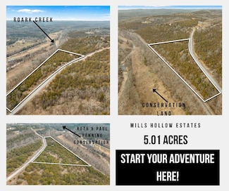 000 Mills Hollow Rd, Branson, MO 65616