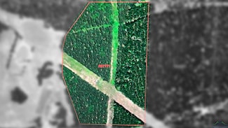 TBD Abst: 24 A Allbright V Und 31 3, Harleton, TX 75651