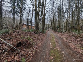 301 W Artesian Dr, Shelton, WA 98584