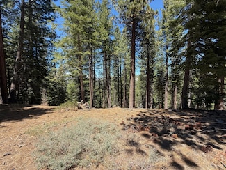 1578 Skyline Dr, South Lake Tahoe, CA 96150