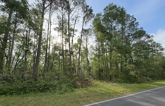 658 Taylor Springs Rd, Vidalia, GA 30474