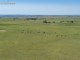 13866 N Log Rd, Peyton, CO 80831