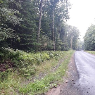 0 Bingham Mills Rd, Salisbury, NY 13470