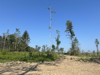 Lot 9 998 Hanlin Rd, Bruceton Mills, WV 26525