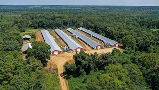7749 Hickory Little Rock Rd, Decatur, MS 39327