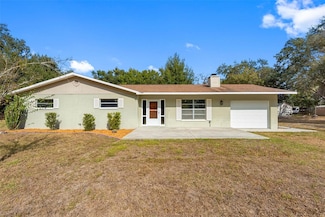 33237 Chancey Rd, Wesley Chapel, FL 33543