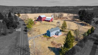 30 Hog Hollow Rd, Pittstown, NJ 08867