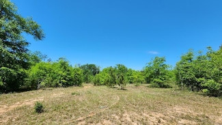 65 Acres County Line Rd, Dothan, AL 36305