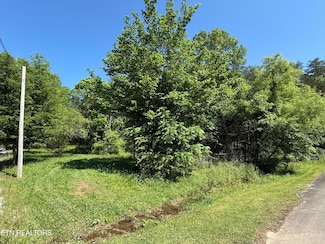 0 Muddy Ln, Decatur, TN 37322