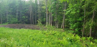 00 Dexter Mountain Rd, Glover, VT 05839