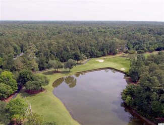 53 Wallace Pate Dr S Unit DeBordieu Colony, Georgetown, SC 29440