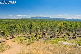 Unit 1 County Road 51, Florissant, CO 80816