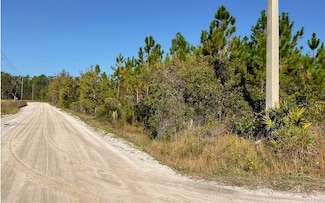 0 Allen Rhoden Rd, Sanderson, FL 32040