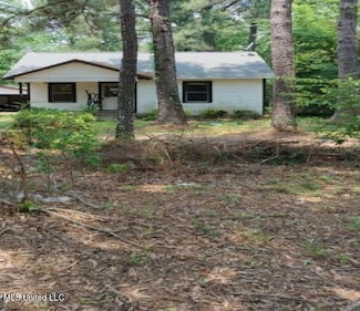 5041 Old Natchez Rd, Hazlehurst, MS 39083