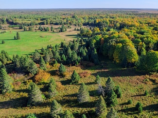 Lot 3 E 22 Mile Rd, Pickford Township, MI 49774