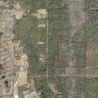 0 Old Train Rd Unit 2251339, New Smyrna Beach, FL 32168