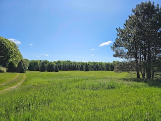 9250 E Mannsiding Rd, Clare, MI 48617
