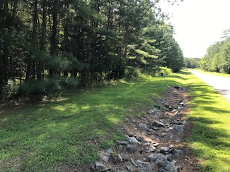 Lot 177 Hidden Cove Ln, Lynch Station, VA 24571