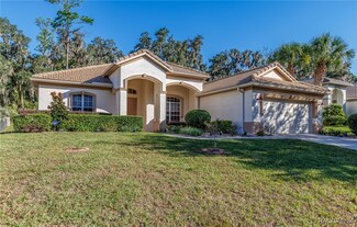 1056 W Beagle Run Loop, Hernando, FL 34442
