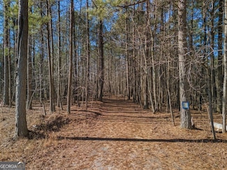 0 Ponderosa Trail Unit 10473163, Dallas, GA 30132