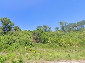 715 Eugene Cernan Dr, Labelle, FL 33935