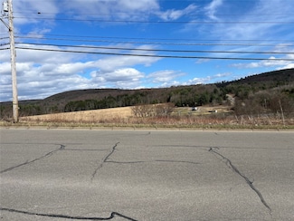 1108 Farm To Market Rd, Endicott, NY 13760