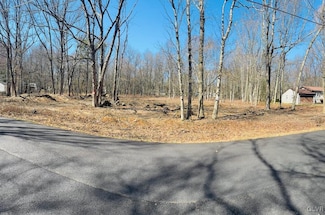 0 A28 Cardinal Ln, Penn Forest Township, PA 18229