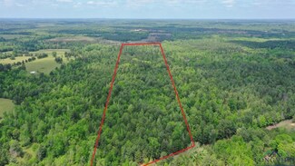 TBD County Road 1617, Linden, TX 75563