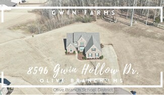 8596 Gwin Hollow Dr, Olive Branch, MS 38654