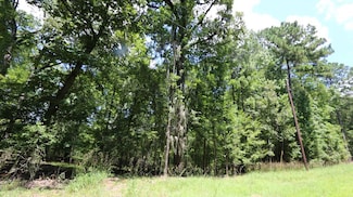 28411 County Road 374 E, Broaddus, TX 75929