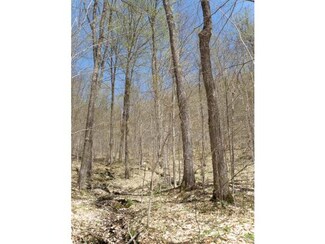 0 Lake Wapanacki Rd Unit 4426626, Wolcott, VT 05680