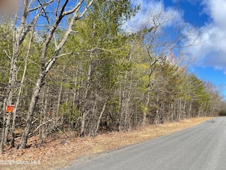 L18.12 Old Kings Rd, New Baltimore, NY 12087