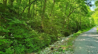 888 Hazel Patch Rd, East Bernstadt, KY 40729