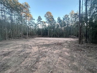 0 Pecan Rd Unit 13998796, Plantersville, TX 77363