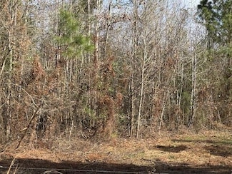 0 State Route 394, Deridder, LA 70634