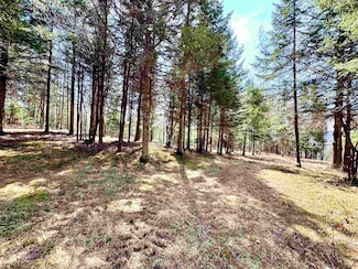 TBD Hollow Rd, Stewartstown, NH 03576
