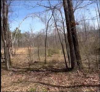 0 Ritter Rd, Morris Chapel, TN 38361