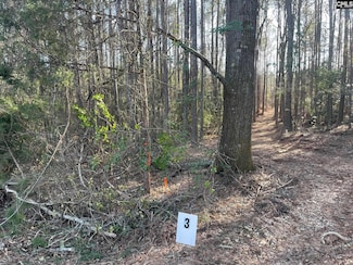 Lot 3 Houston Rd, Prosperity, SC 29127