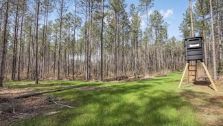 0 Burris Rd, Smithdale, MS 39664