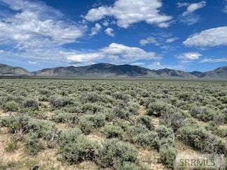 TBD Idaho 28, Leadore, ID 83464