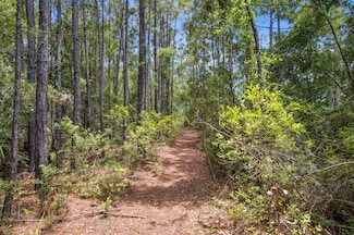 0 SR 107 and Frank Ward Rd, Fernandina Beach, FL 32034