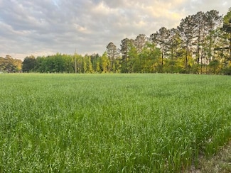 0 Lodge Hwy Unit 25009840, Lodge, SC 29082