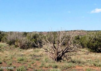 0 201-35-008b Unit 252992, Concho, AZ 85924
