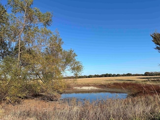 000 Fm 1653, Ben Wheeler, TX 75754